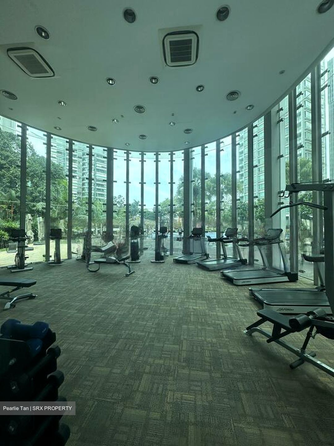 Park Infinia At Wee Nam (D11), Condominium #486930891